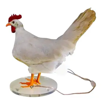 Лампа за Таксидермии с пилешко яйце, 3D Фигурки Пиле, Лампа за яйца, Декоративна Настолна лампа под формата на Петел, Реалистична лампа за яйца от смола, Ночники за яйца
