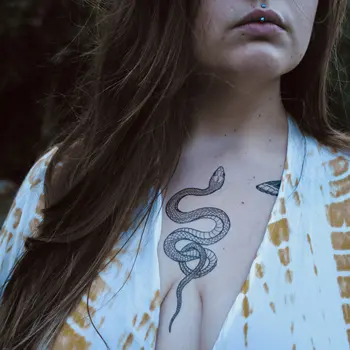 Временна татуировка Градински Змия, на Змия с колани, Оригинални рисунки на ръка, пролетно Татуировка, Изкуство Змии, Фалшива Татуировка 